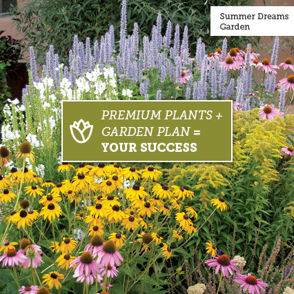 High Country Gardens: We Plan, You Plant - Save On All Pre-Planned ...