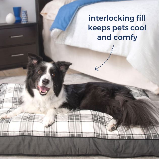 Bed Bath & Beyond 🛌NEW from MyPillow 5 picks for your best night’s