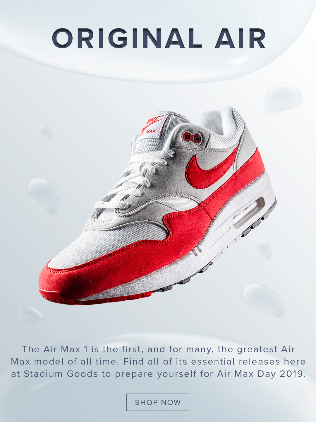 air max 1 x essential