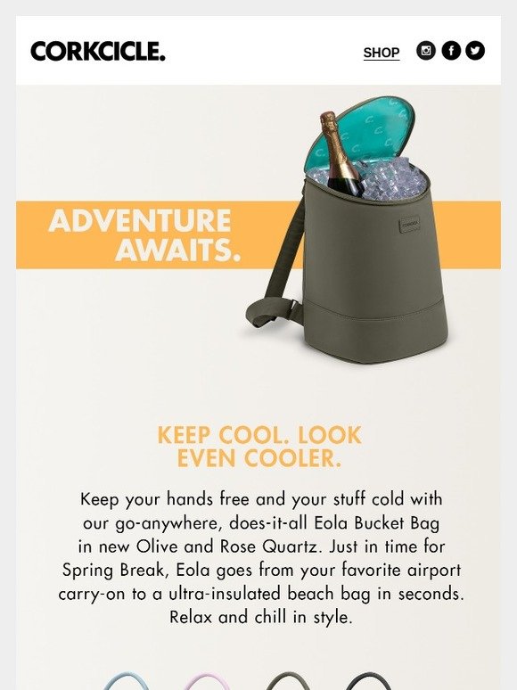 corkcicle eola bucket bag cooler stores