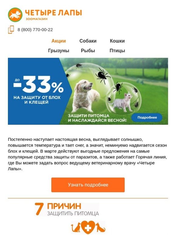 Четыре Лапы Интернет Магазин Личный Кабинет