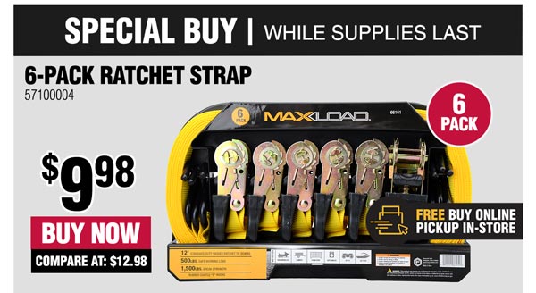 6-Pack Ratchet Tie Downs 1-in. x 12-ft.
