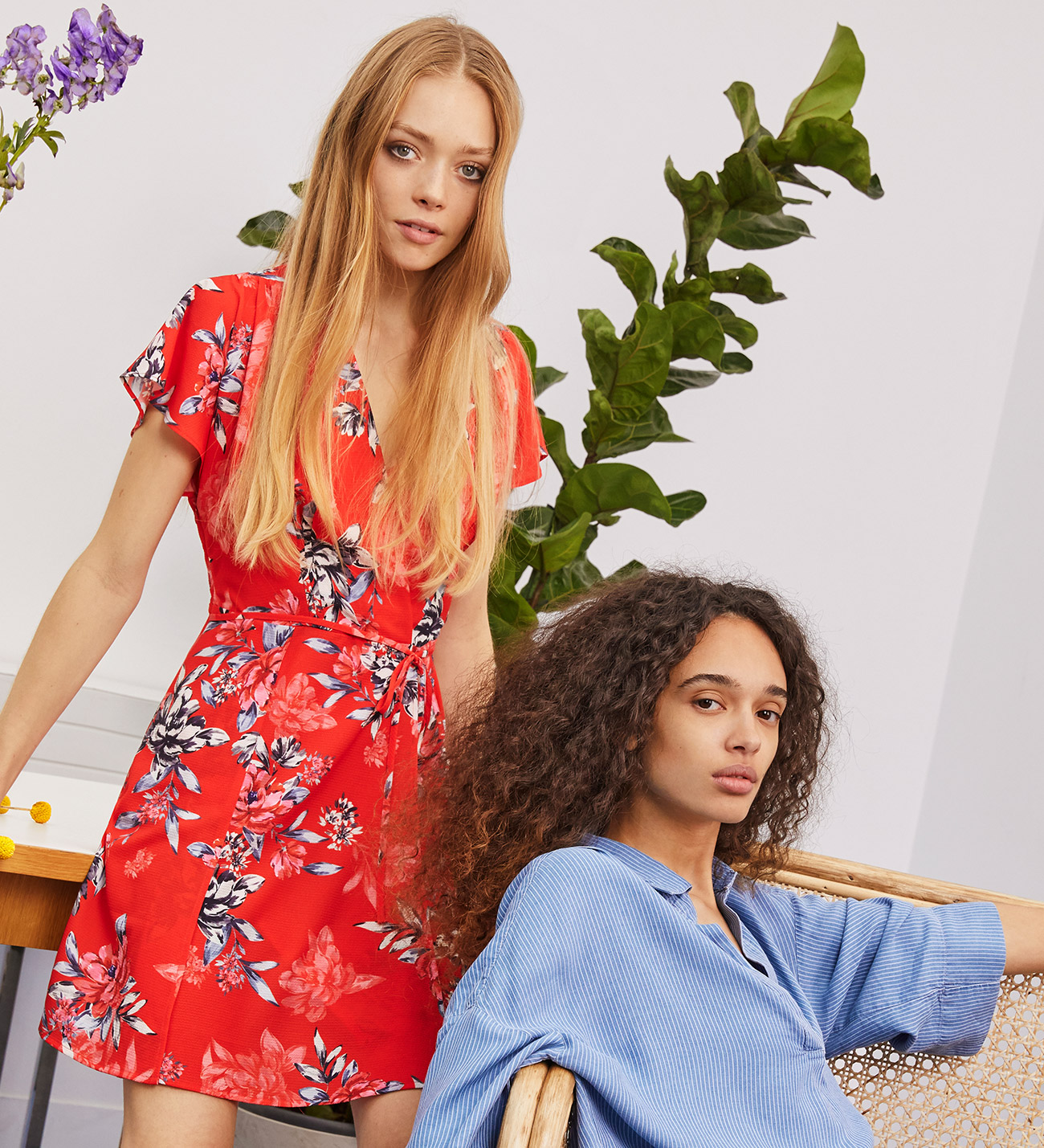 french connection coletta