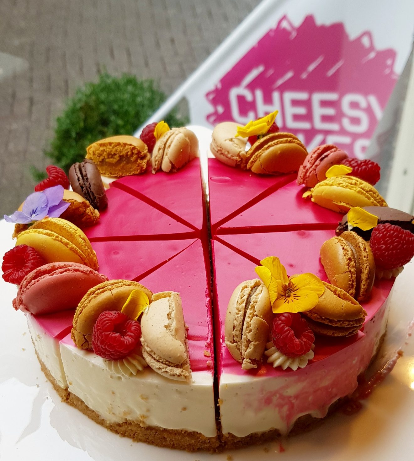 Hmmmm cheesy cakes