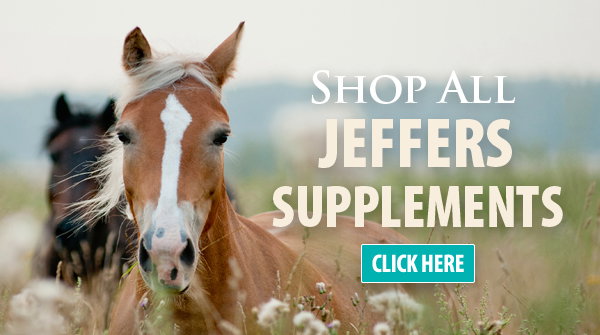 Shop All Jeffers Equine Supplements