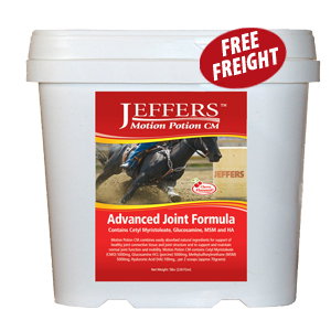 Jeffers™ Motion Potion CM Powder