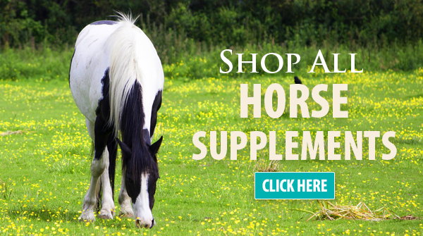 Shop All Horse Supplements