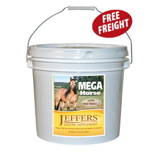 Jeffers™ Mega Horse