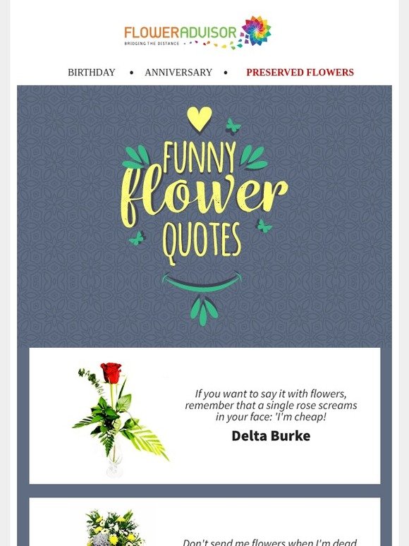 Funny Messages To Send With Flowers Floweradvisor (My): See This Funny Flower Quotes It Helps You Smile! |  Milled