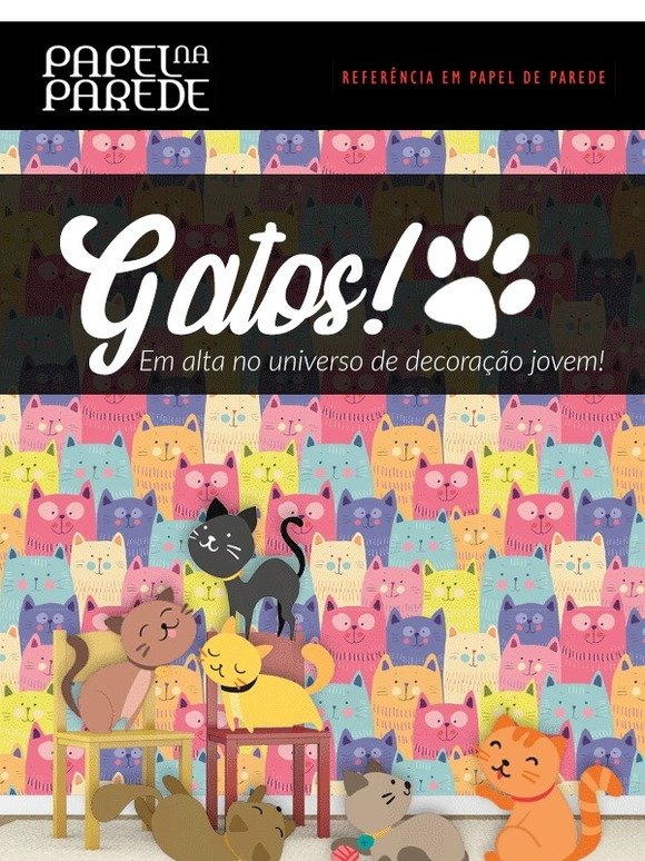 Gatos estÃ£o sempre na moda ï»¿â¥