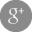 Google Plus