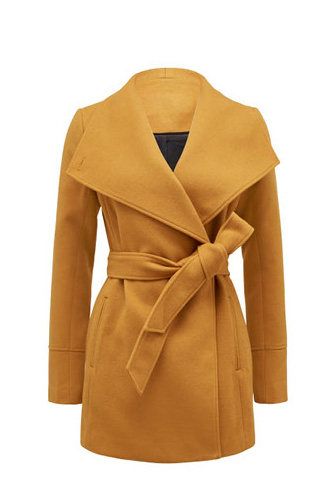 aaliyah trench coat