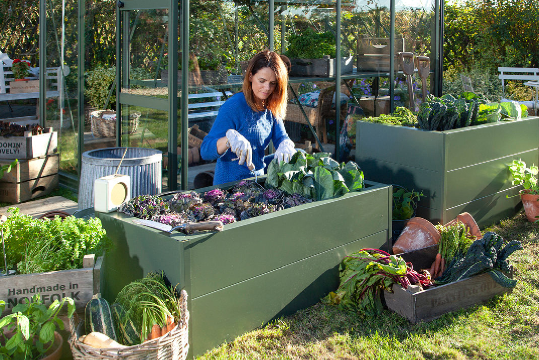 Greenhouses Direct Introducing Rhino Raised Beds From Just £85 🌷🌿🌱