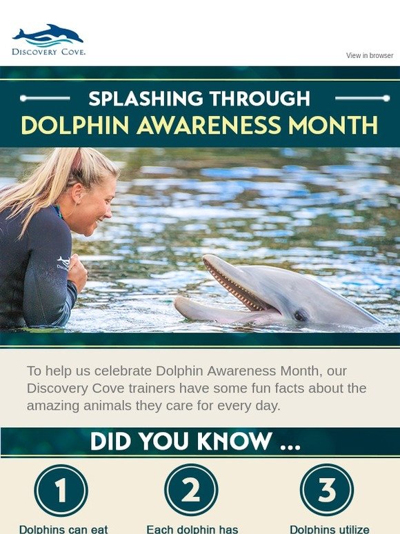 SeaWorld Parks 🐬 Celebrating Dolphin Awareness Month Milled