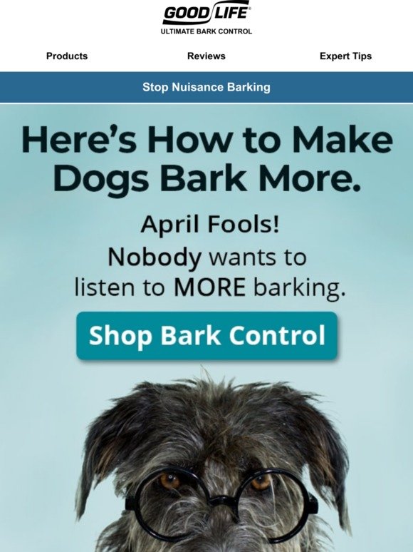 Good Life: Score the most powerful bark deterrent this month!