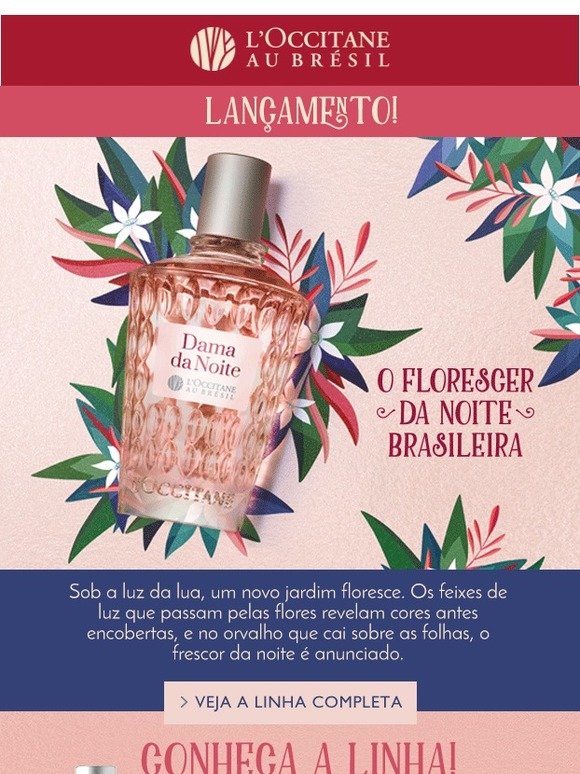 Conheça as novidades da linha Dama da Noite!