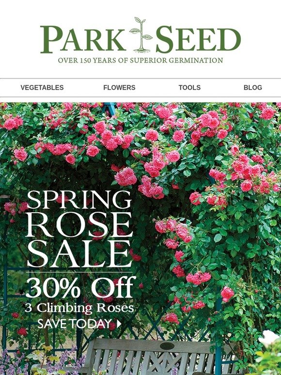 30 off 3 Climbing Roses! Milled