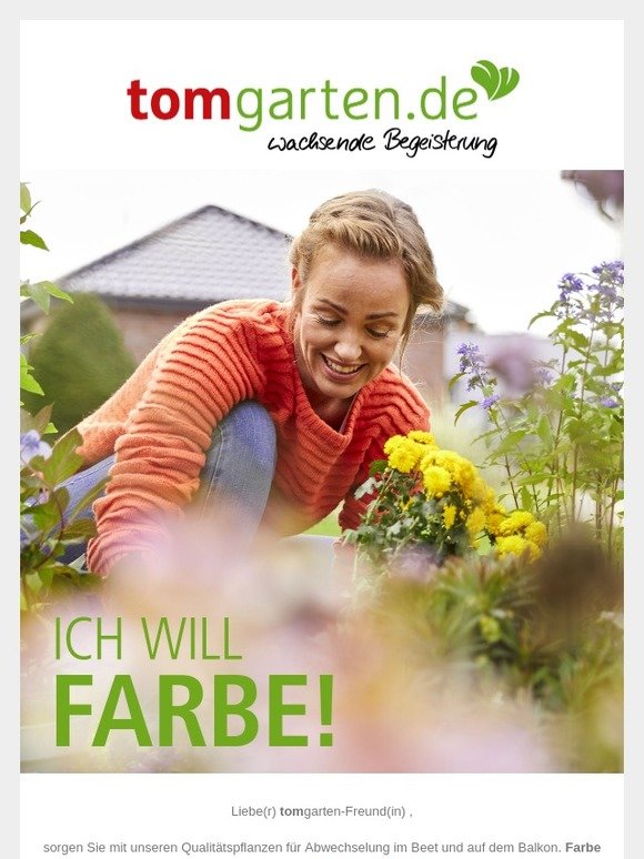 TOM GARTEN ProfiSaatgut und Pflanzenversand VERRÜCKT NACH FARBE Milled
