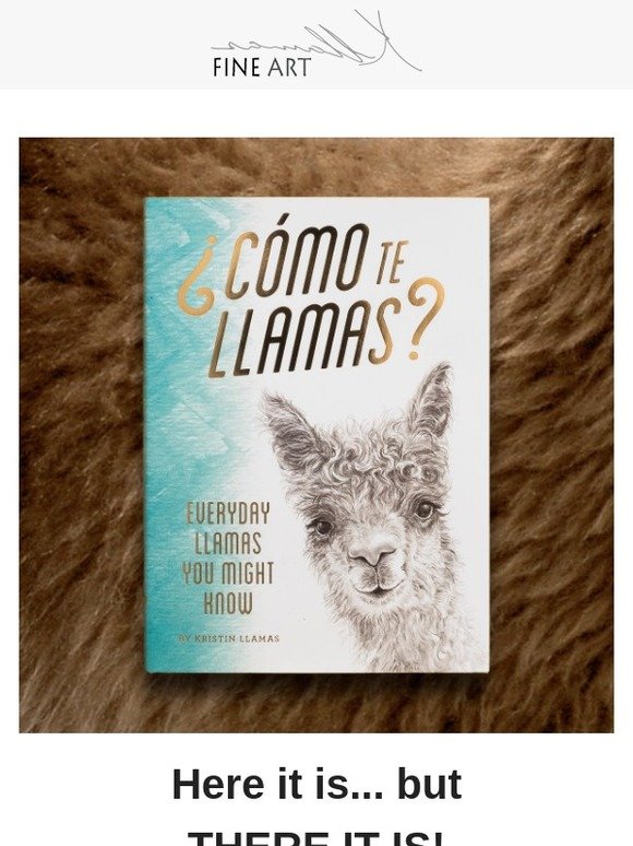 The ¿Como te Llamas? book in Barnes & Noble!  🙌