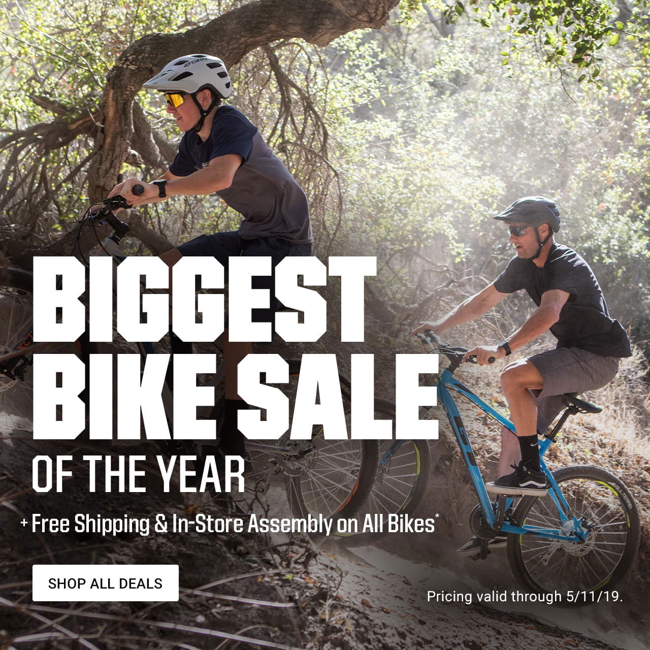 dick's sporting goods mountain bikes