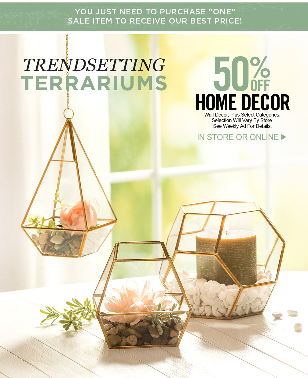 Hobby Lobby Add a Natural Touch with Terrariums Milled