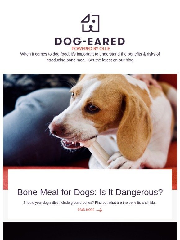 Ollie Pets Bone Meal for Dogs Is It Dangerous? Milled