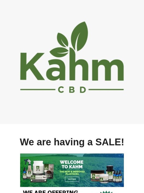 Celebration Sale!