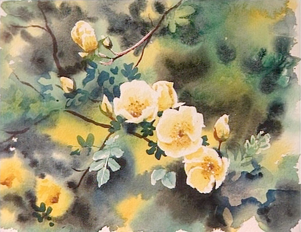 Spring Landscape