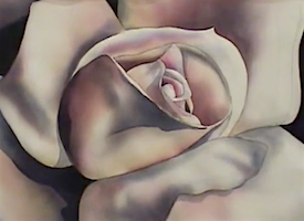 Rosebud