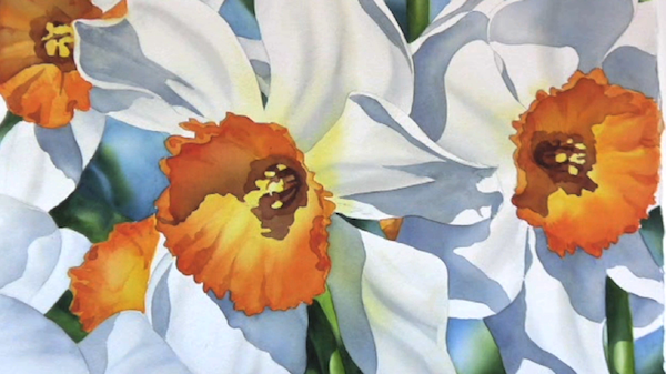 Daffodil