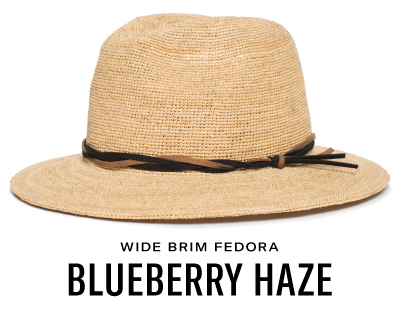 goorin bros blueberry haze