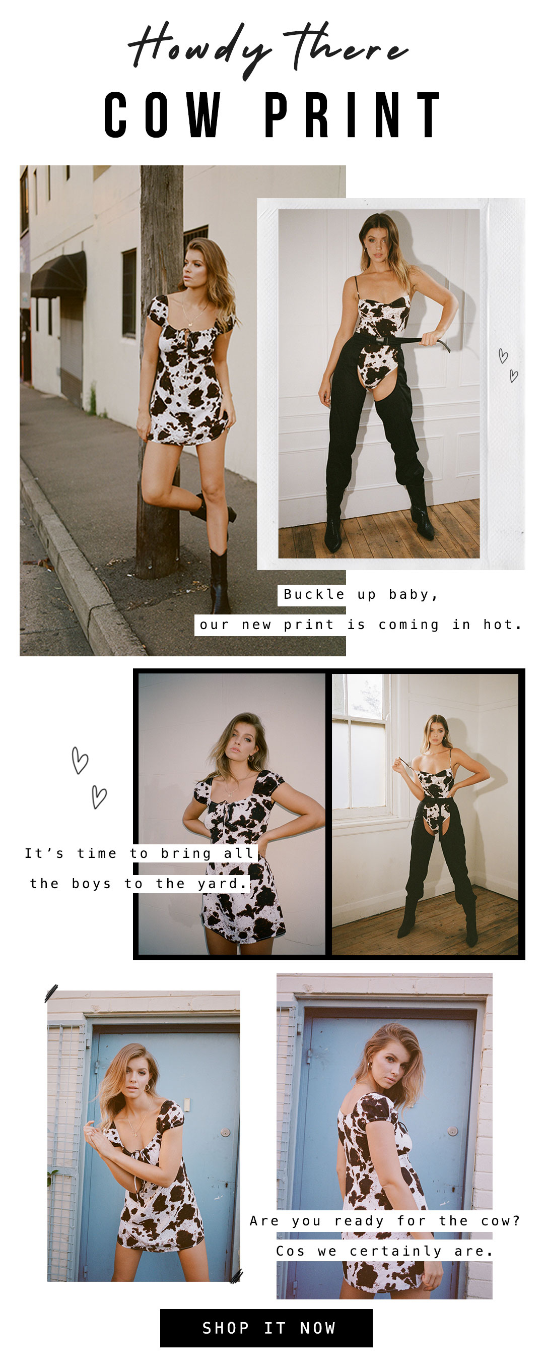 motel rocks cow dress