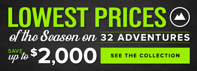 cirq shasta down jacket