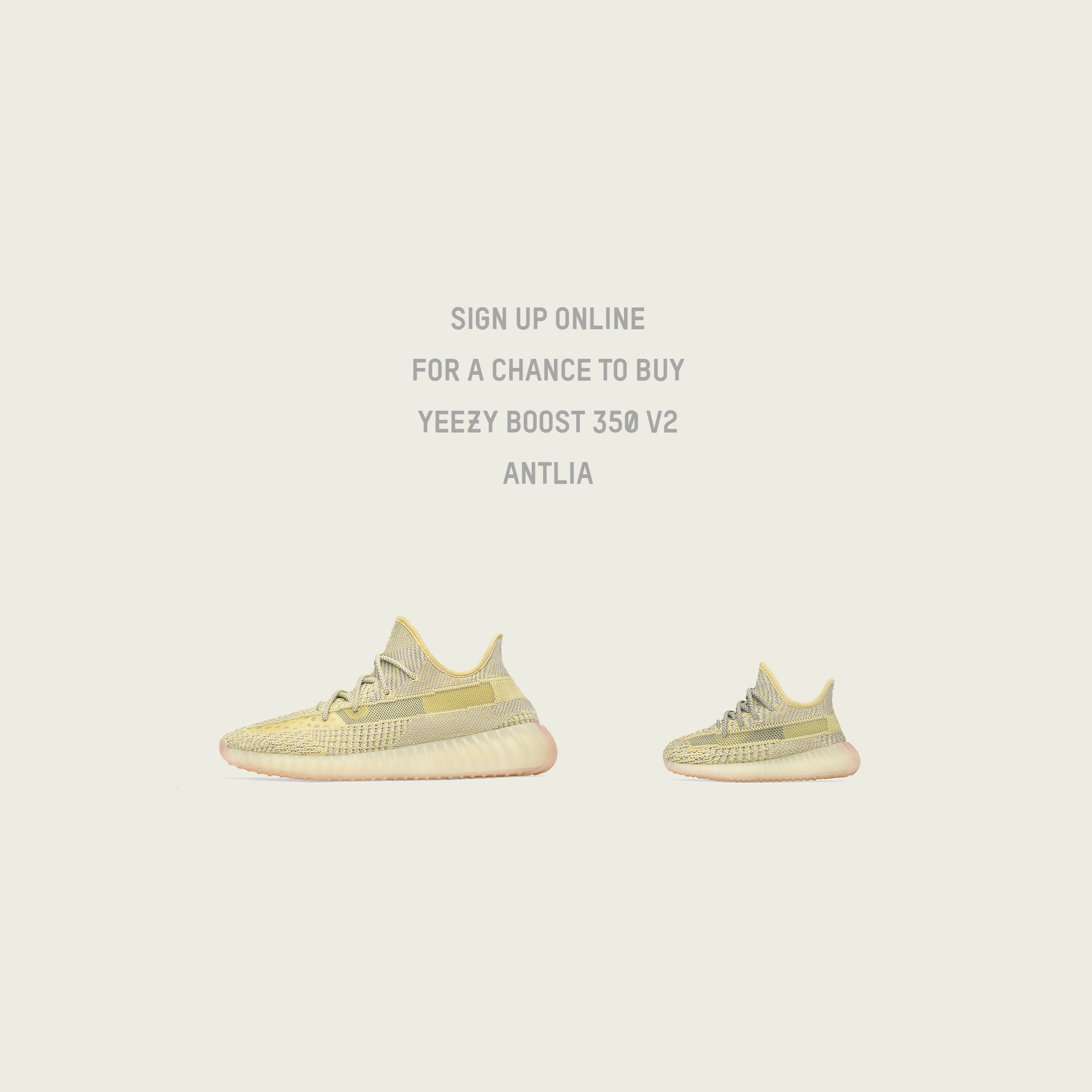 yeezy boost 350 v2 adults antlia