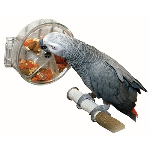parrot puzzle toys