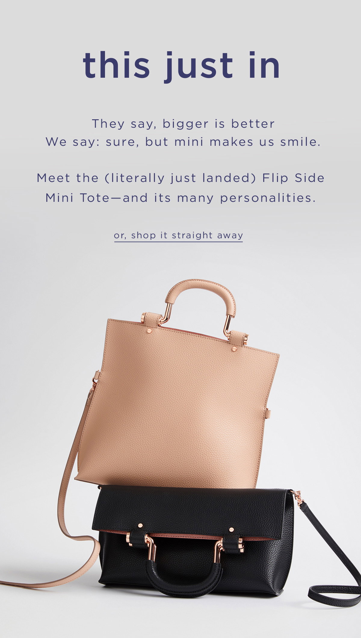 flip side tote mimco