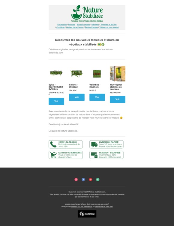 Nous avons de nouvelles créations pour votre déco 🌿🌴🌱
