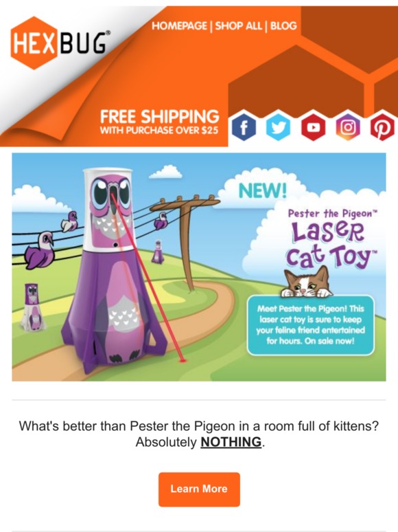Looking for the purrrfect interactive laser cat toy?