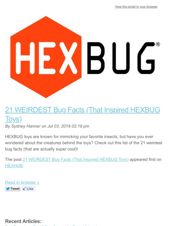 21 WEIRDEST Bug Facts (That  Inspired HEXBUG Toys)