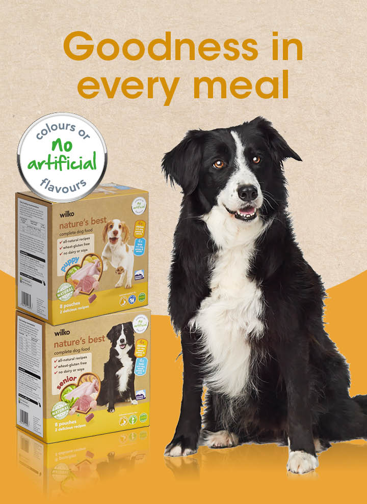 wilko grain free dog food