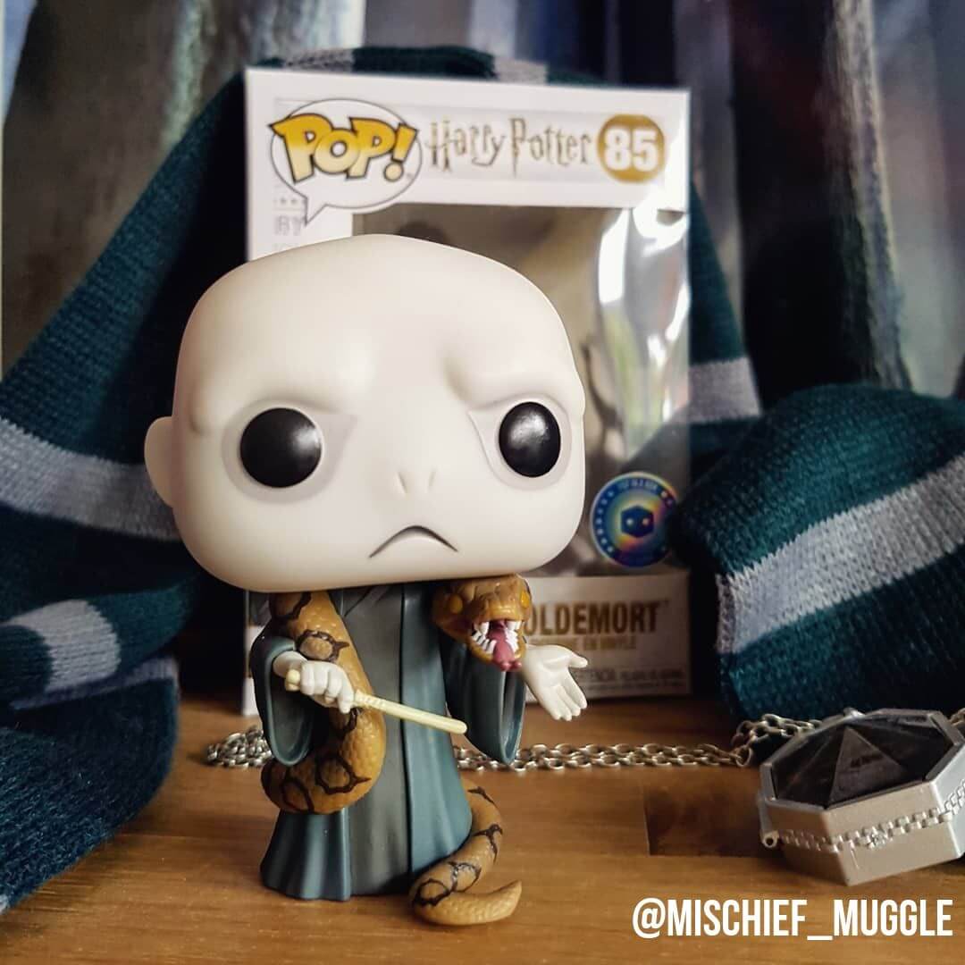 voldemort with nagini pop