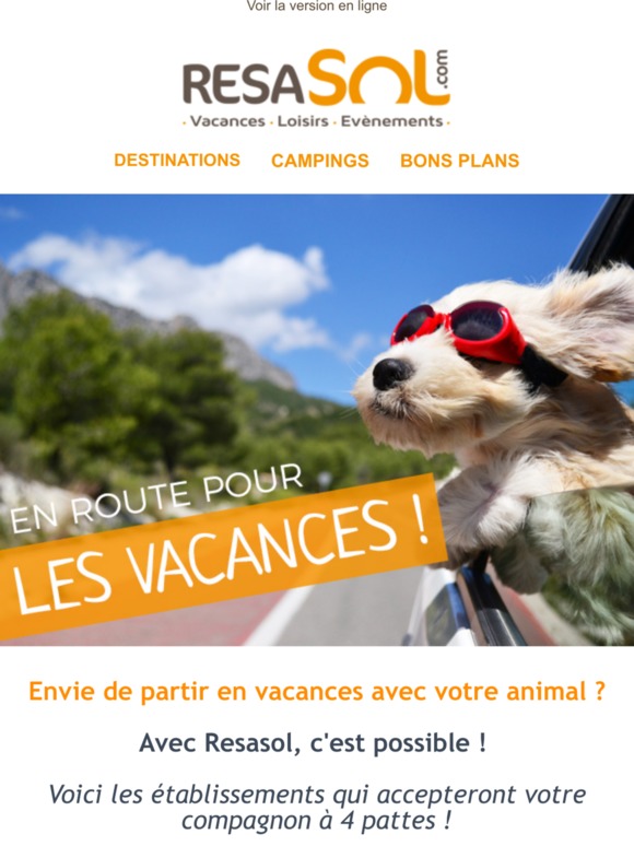 Votre animal de compagnie a aussi le droit de partir en vacances !