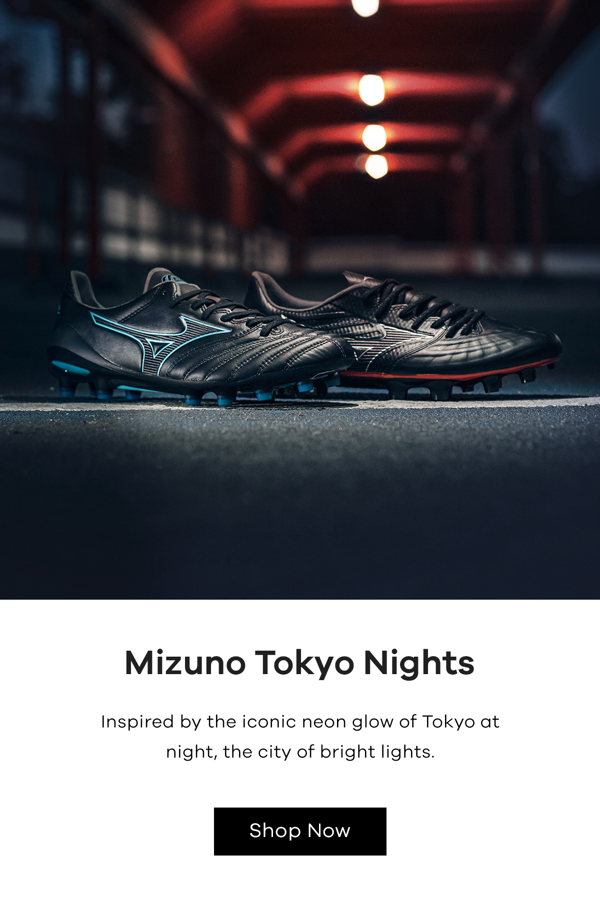 mizuno tokyo silver