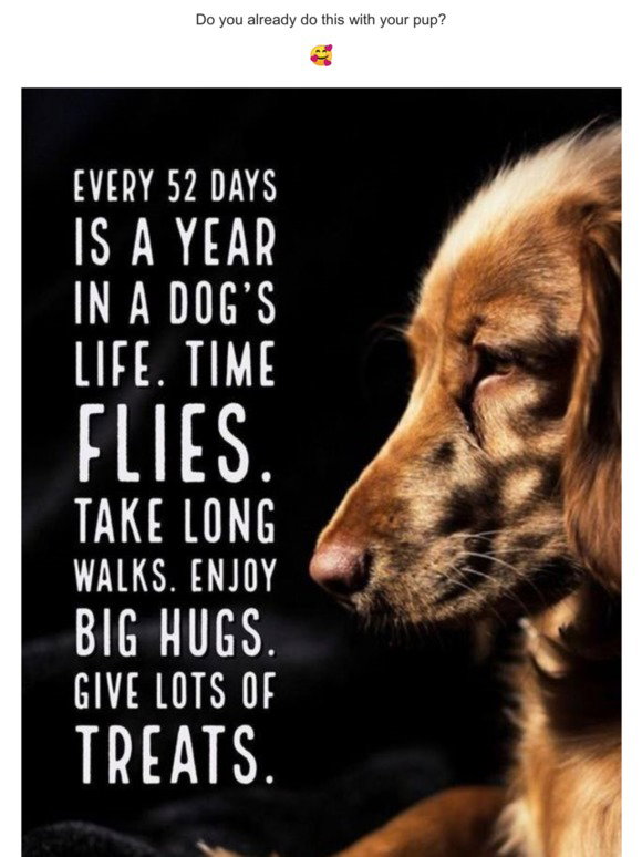 is 52 days a year in a dogs life