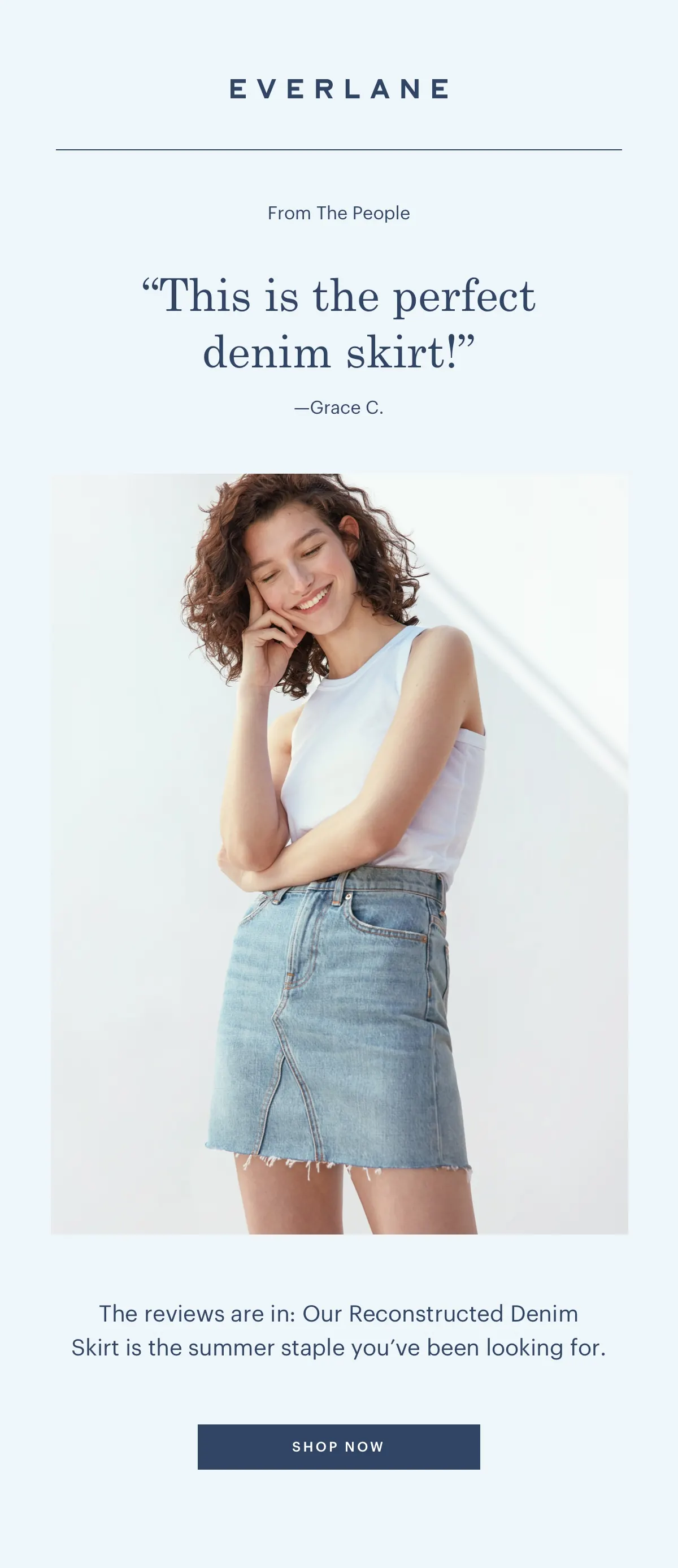 everlane denim skirt