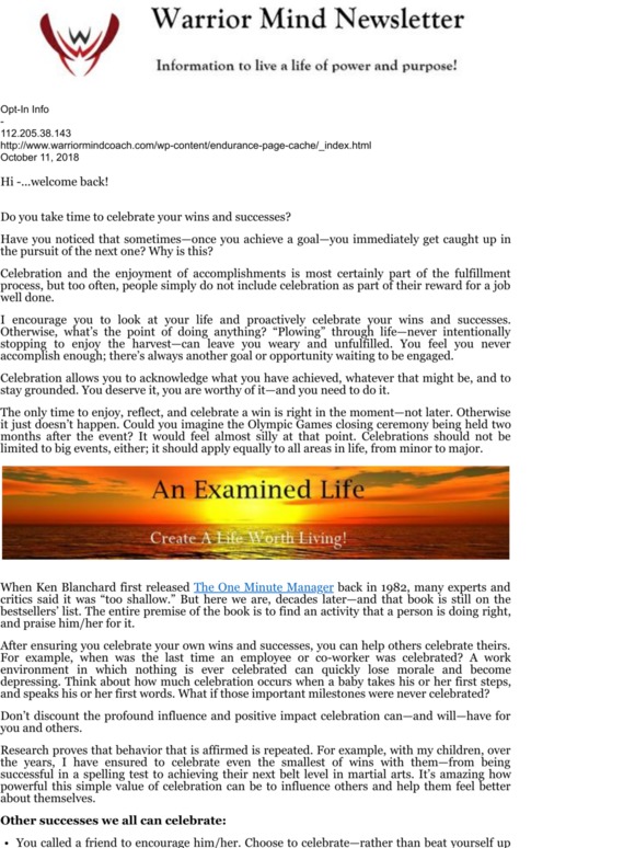 -Warrior Mind Newsletter: Do You Take Time to Celebrate?
