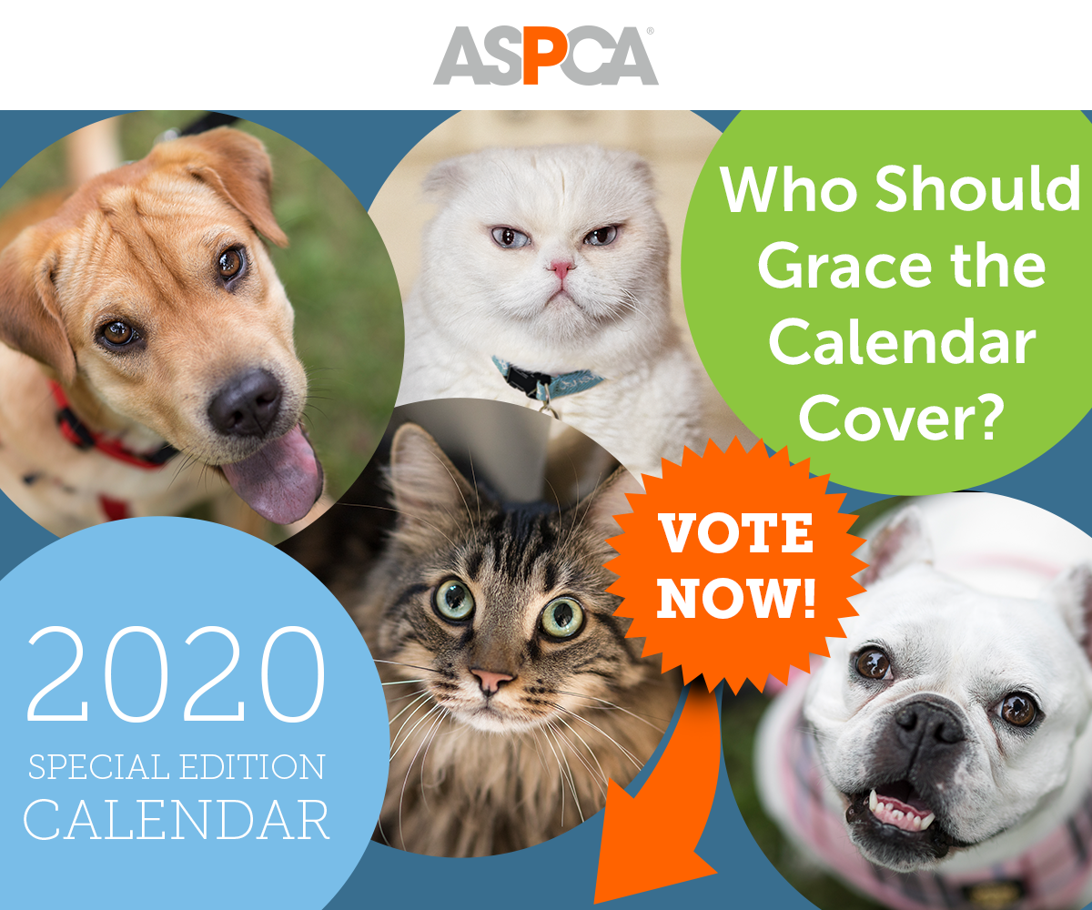 ASPCA Choose the Calendar Cover Pet! Milled