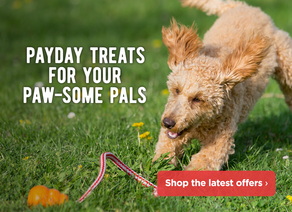 monster pets supplies