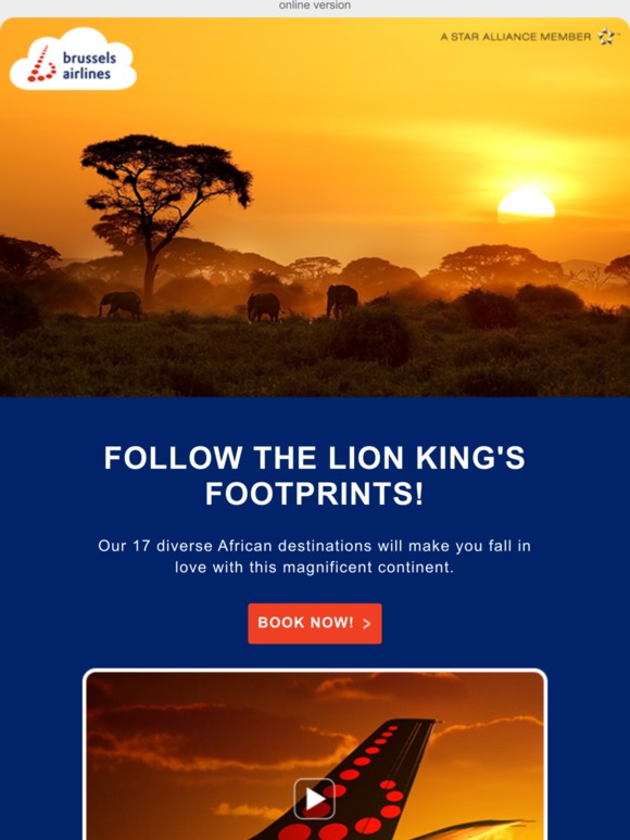 ✈️ Follow The Lion King to Africa! ✈️