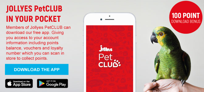 jollyes pet club